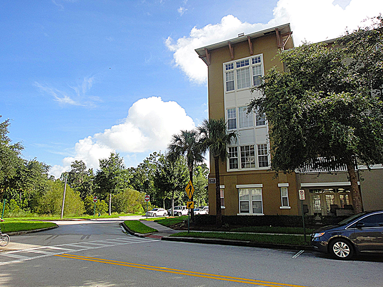 Celebration Florida Real Estate